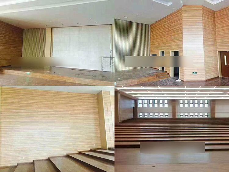 浙江杭州學(xué)院報(bào)告廳吸音工程 浙江杭州學(xué)院報(bào)告廳吸音工程